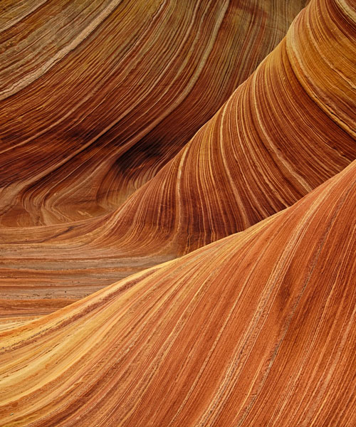 Processo di destrutturazione scolastica