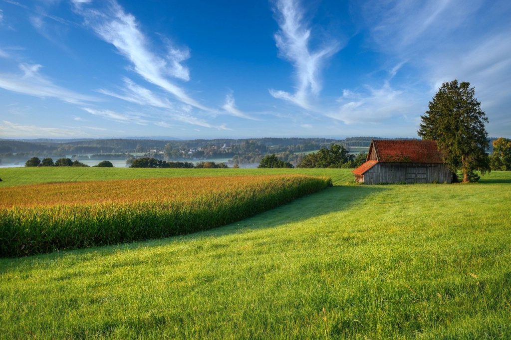Immersi nella natura per trarne maggior beneficio