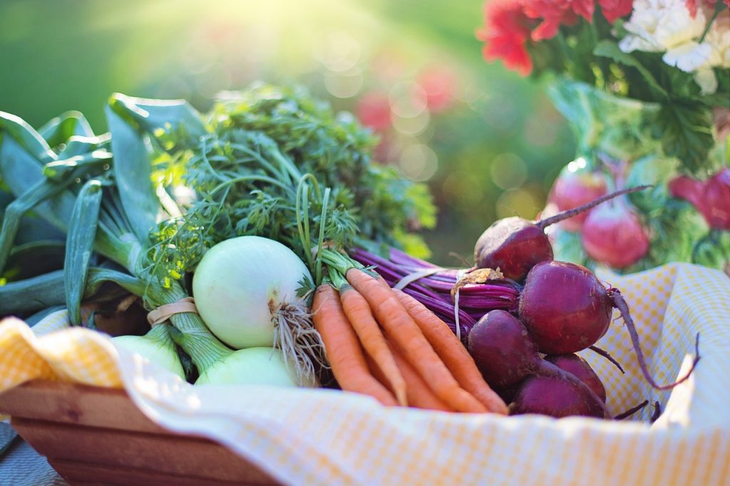 Verdure raccolte dal nostro orto