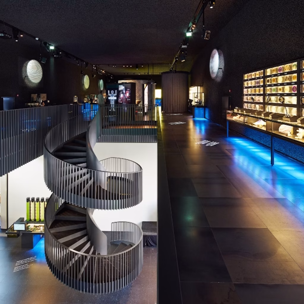ARTIS MICROPIA Amsterdam, museo dell'infinitamente piccolo e invisibile
